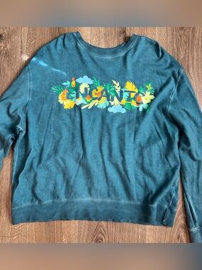 Disney Encanto Sweatshirt Size XL